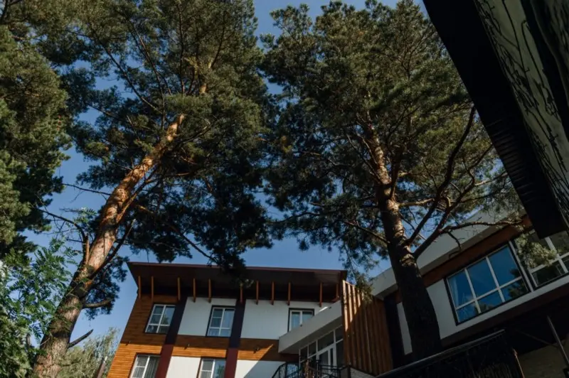 Каждый наш домик построен из натуральных материалов изображение