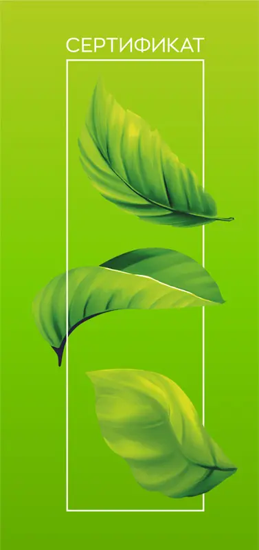 Подарочный сертификат Подарочный сертификат | спа-отель «Лайф»